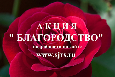 Добрые поступки жителей Самарской области прославит акция "Благородство - 2023"