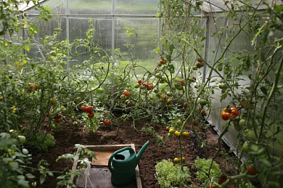 Участнику СВО соцконтракт помог реализовать семейный проект