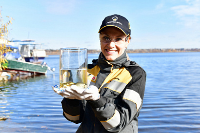 Название статьи