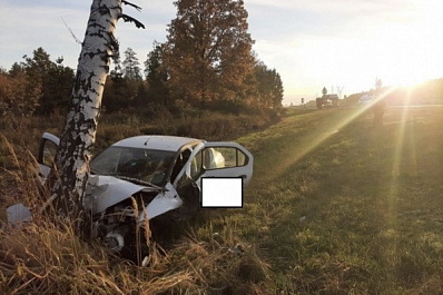 На трассе М5 в Самарской области водитель Renault въехал в бетонные блоки и березу