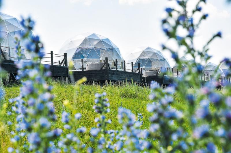 Как поддержка властей способствует развитию отрасли гостеприимства