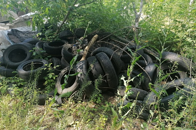 В лесу Тольятти обнаружили несанкционированную свалку автомобильных шин