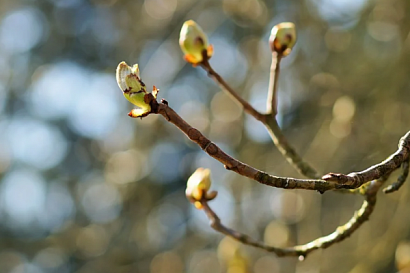 Название статьи