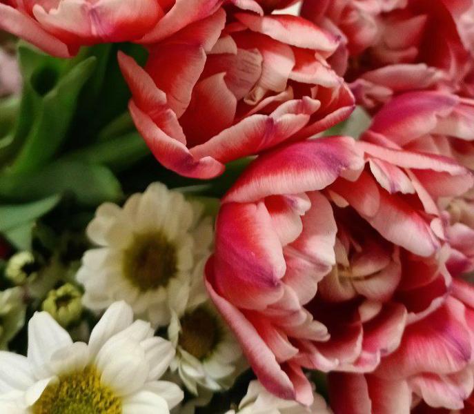 Цветовод Николай Горохов рассказал, насколько подорожали букеты перед 8 Марта