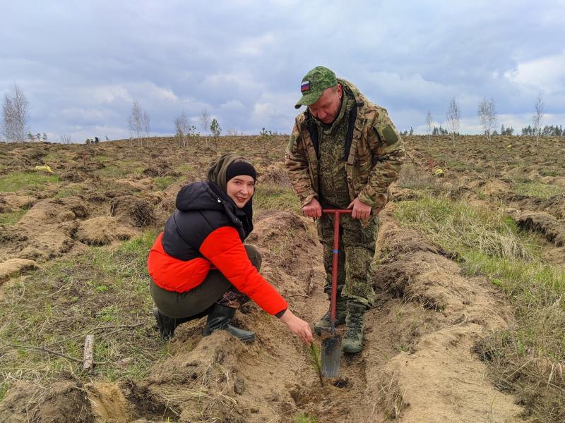 Для будущих поколений: в Самарской области посадили лес в память о погибших соотечественниках