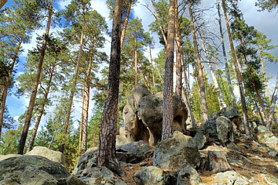 В Самарской области до 18 октября сохранится угроза лесных пожаров 