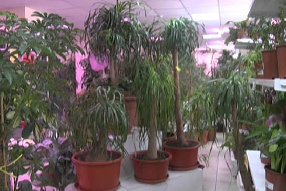 Дачные советы 20.02.2014