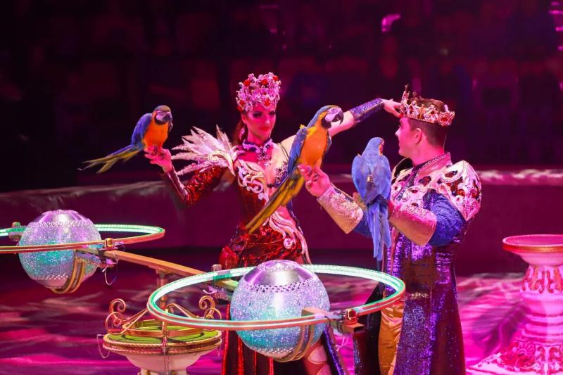 В Самару привезли грандиозное цирковое шоу с мощными спецэффектами