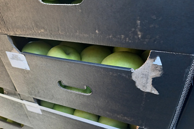 Самарские таможенники задержали 20 тонн польских яблок