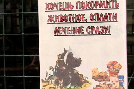 Место встречи 21.09.2012