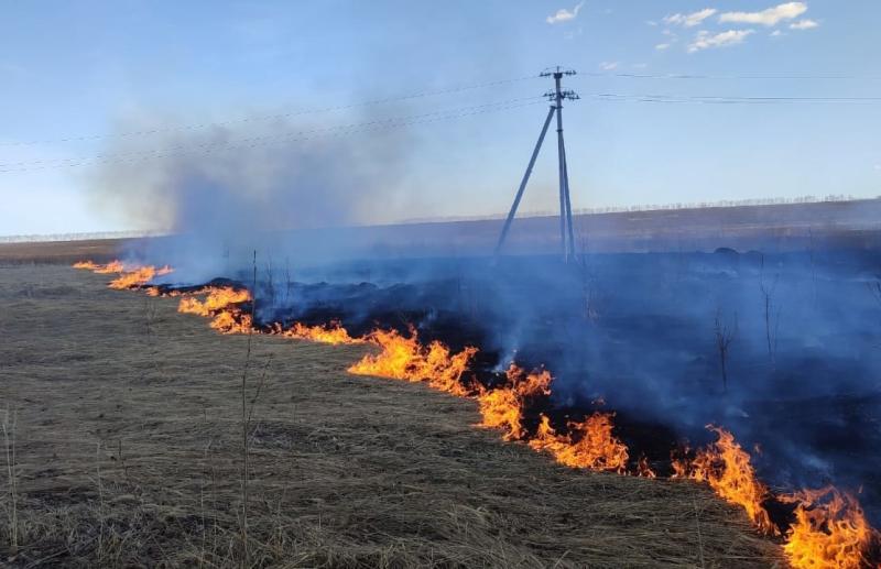В Самарской области в один день несколько раз тушили сухую траву