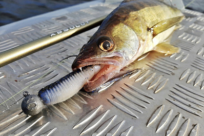 Рыбак из Самары выиграл битву с гигантской щукой 