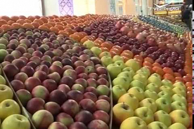 Между Самарским регионом и Хорезмской областью Узбекистана подписан протокол о намерениях