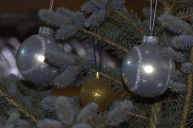 В строящемся Дворце спорта установили новогоднюю елку