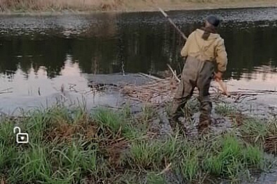 Пенсионеру из Самарской области грозит тюрьма за 10 рыб