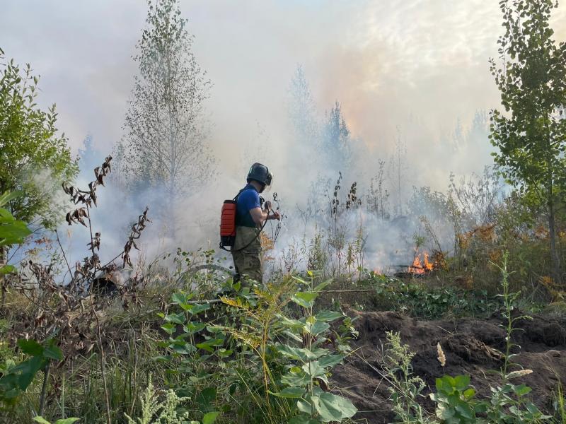 В Тольятти тушат лесной пожар на площади 2 га