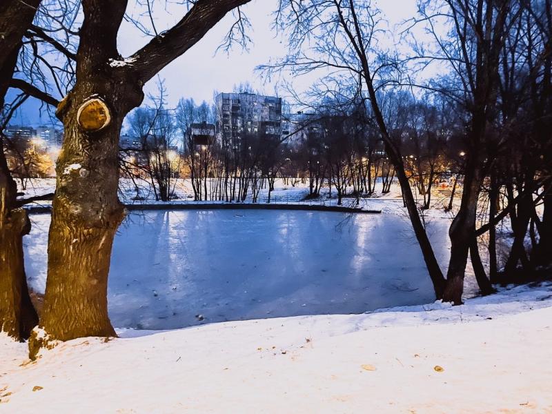 В Самарской области 9 февраля пройдет небольшой снег и станет немного теплее