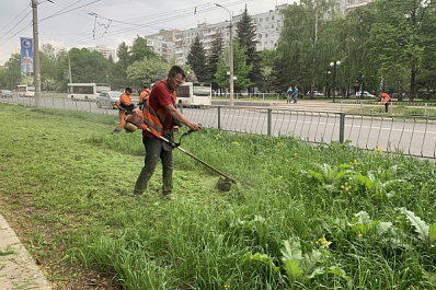 В Самаре раньше срока начали косить траву