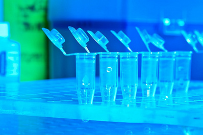 Что нужно знать об анализах на коронавирус и антитела: ответ экспертов "Гемотеста"