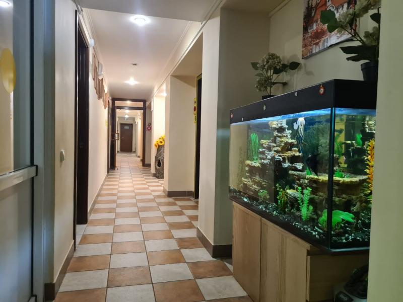 В пансионате "Клен" созданы условия для комфортного проживания пожилых