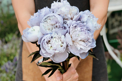 "Фейковый букет за доступ к данным": мошенники вновь начали массово разводить россиян перед 8 Марта