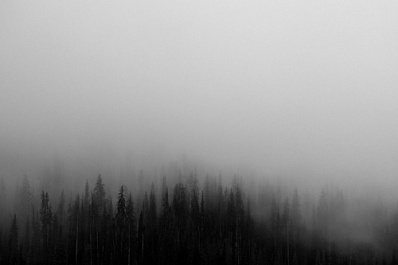 Самарскую область 21 августа накроет туман