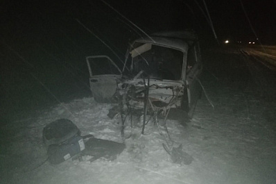 На трассе под Сызранью многотонная фура снесла "Ниву"