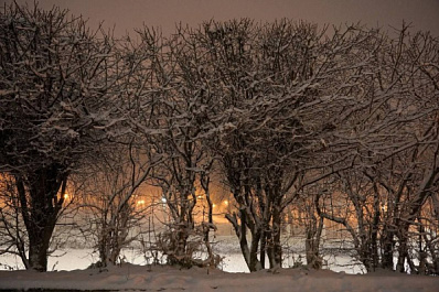 В Самарской области 23 февраля выпадет снег