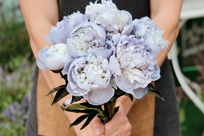 Название статьи