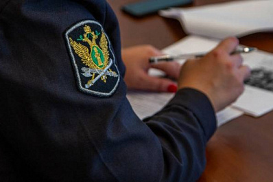 Тольяттинка 21 раз нарушила ПДД и едва не осталась без "Тойоты"