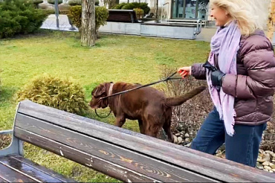 В добрых руках: собаку с трагической судьбой из Мариуполя забрала семья из Тольятти