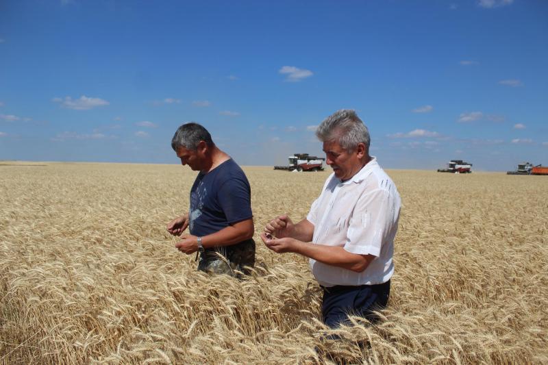Крестьянско-фермерский прогресс: что помогает хлеборобам Хворостянского района быть лидерами