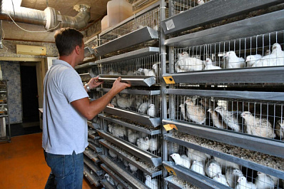 Улучшить материальное благополучие семьям Самарской области помогает соцконтракт