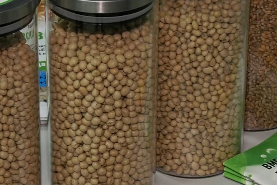 Агрополигон - 2024. Итоги сезона. Агрокурьер