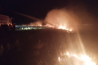 Огонь уничтожил 500 "квадратов" сухой травы в Кинель-Черкасском районе