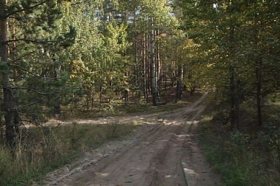 В Самарской области мухи-трихограммы продолжают спасать леса   