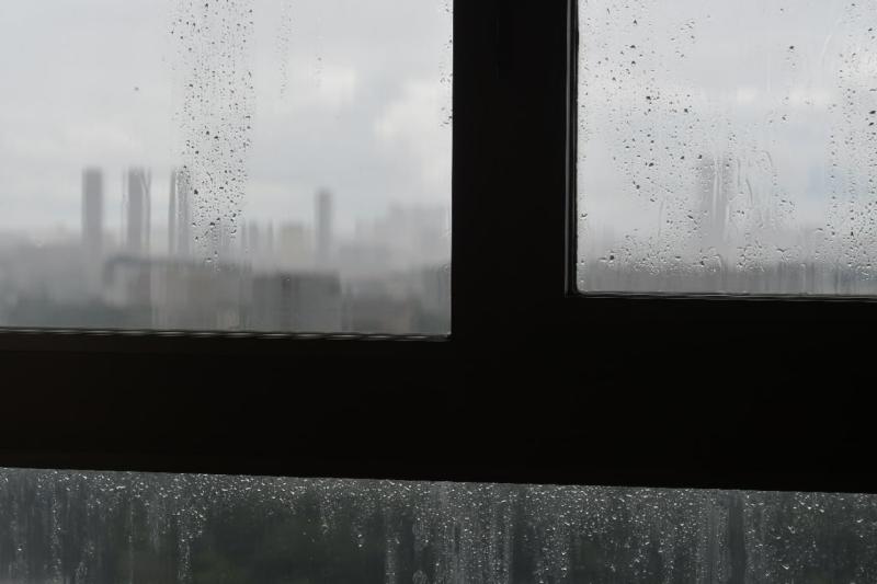 В Самарской области 1 ноября будет особенно дождливо 