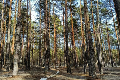 Народные приметы на 26 марта 2025 года: что нельзя делать в этот день