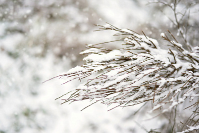 Самарскую область 25 ноября накроет сильный снег