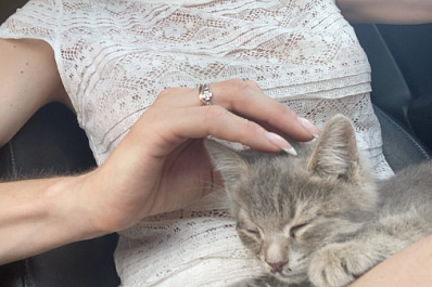 В Самаре девушка спасла котенка, которого на полном ходу выбросили из машины