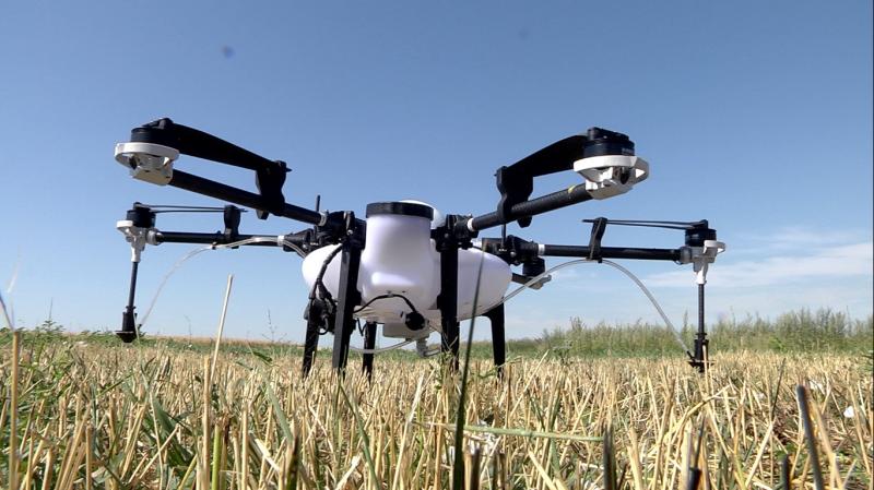 В борьбу с карантинными растениями в Самарской области вступают дроны