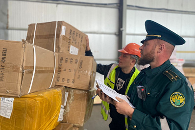 Стало известно, кому разрешили отдавать конфискат с таможни в России