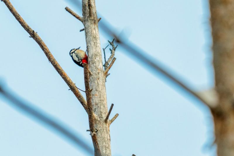 Народные приметы на 17 февраля 2025 года: что нельзя делать в этот день