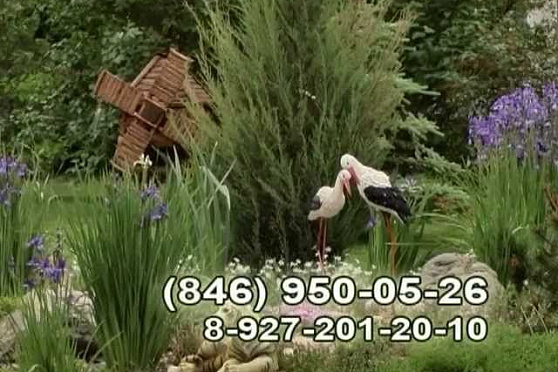 Дачные советы 31.05.2012