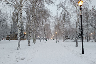 В Самарской области 31 января ожидается сильный ветер