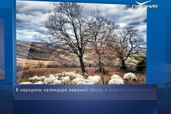 Календарь губернии от 11.11.2018