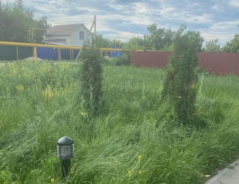 ЦУР Самарской области помогает бороться с сорной травой на детских площадках