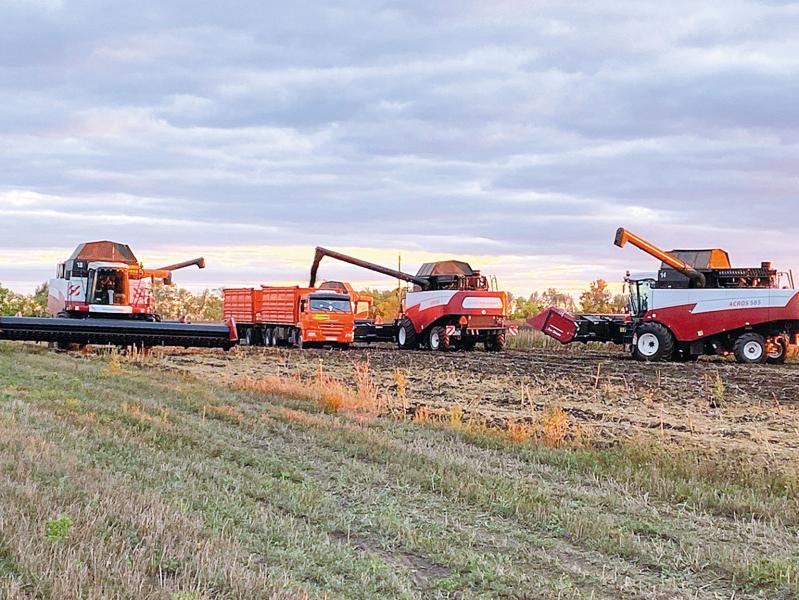  От совхоза к холдингу: как добиваются богатого урожая и высоких надоев