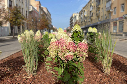 Название статьи