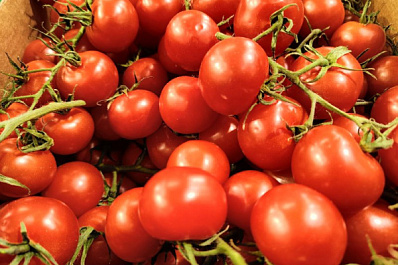 В Самаре 22 августа откроются сезонные ярмарки